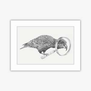 "Curious Kea" A4 Matted Print - Tara Cassidy