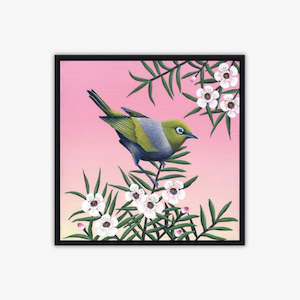 Waxeye on Manuka Blockmount Print