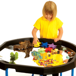 Active World Tray - Black