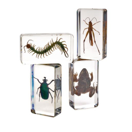 The Living World: Acrylic Garden Friends - Set of 4