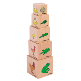 The Living World: Lifecycle Wooden Blocks