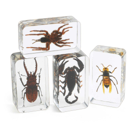 Acrylic Scary Bug Specimens - Set of 4