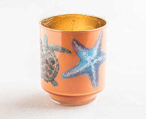 Candle Holder - Starfish Orange - 24 - Creative Stuff