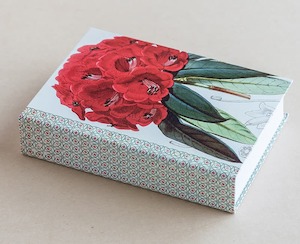 Jotter pad botanical rhododendron red - Creative Stuff