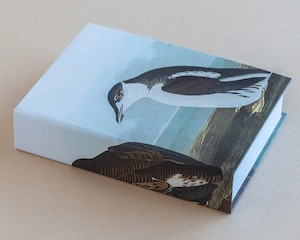 Jotter pad bird penguine 2 - Creative Stuff