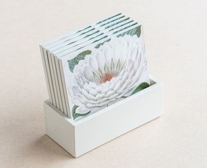 coaster set - white lily - Creative Stuff