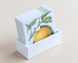 coaster set - citrus - Creative Stuff