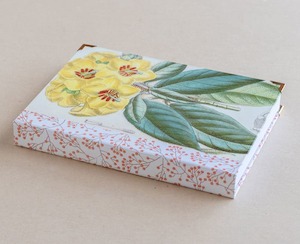 A5 jotter - primrose - yellow - Creative Stuff