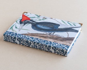 Homewares: A5 jotter - woodpecker - Creative Stuff