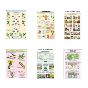 CHARTS [Botany]: Laminated paper (550mm x 900mm)