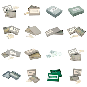 MICROSCOPE SLIDE SETS: Variety