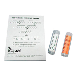 Biology: PEDIGREE RECORDING CHART: Taste paper (Pack of 100)