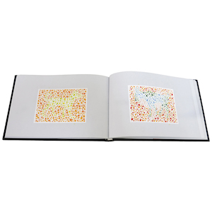 COLOUR BLINDNESS TEST BOOK: Ishahara (65x images)