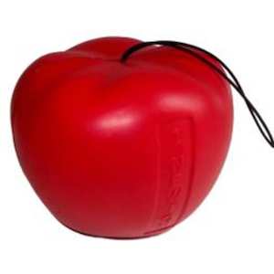 SCIENCE GIZMOS: Newtons apple