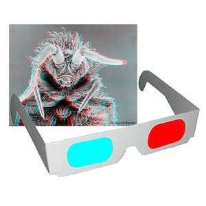 SCIENCE GIZMOS: Anaglyphic 3D glasses