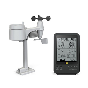 WEATHER STATION: Digital (Professional with monochrome display)