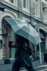 Clothing accessory: Classic Umbrella | Peppermint Limited Edition