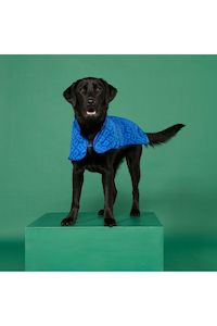 Dog Jacket Large | Puddle Blue Monogram