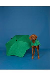 Dog Jacket Large | Park Green Monogram