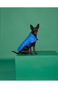 Dog Jacket Medium | Puddle Blue Monogram