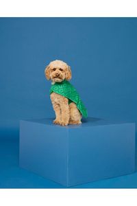 Dog Jacket Medium | Park Green Monogram