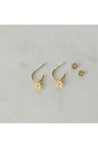 Love Lily Hoop Stud Earrings