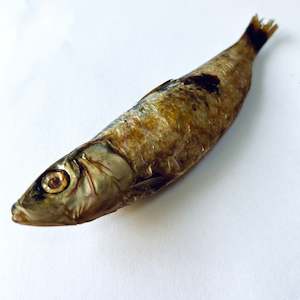 Dehydrated Pilchard