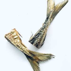 Pet: Mackerel Tail