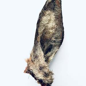 Pet: Full Fur Venison Ear