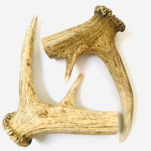 Pet: Deer Antler - 2XL