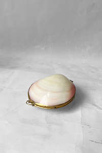 Vintage Shell Jewellery Case