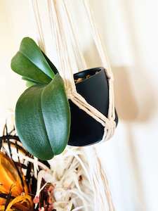 Jewellery: Macrame Plant / Wall Hanger.