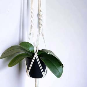 Macrame Plant Hanger 6