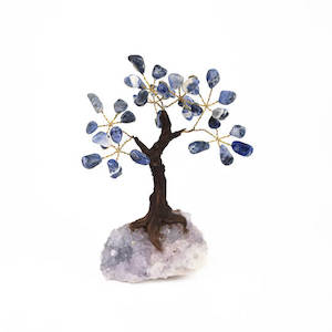 Products: Sodalite Tree with Amethyst Base