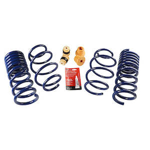 Panel beating: 2015-23 Mustang Street Lowering Spring Kit