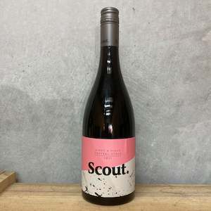 Liquor store: 2021 Scout Pinot x Pinot