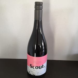 Liquor store: 2020 Scout Pinot x Pinot