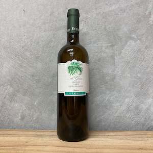 2019 Di Gino Verdicchio