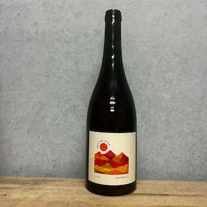 Liquor store: 2022 Bryterlater 'Brambles' Orange