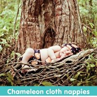 Cloth Nappies - Chameleon