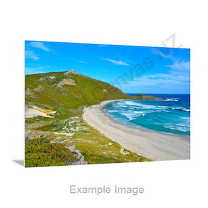 Best Aluminum Prints