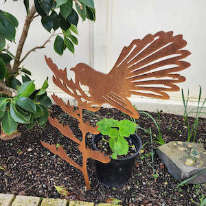 Birds: Fantail On Flax Garden Spike