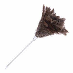 Products: Ostrich Feather Duster