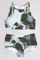 Thorn Cutaway Crop and Boyleg Brief