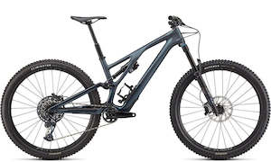 Specialized 2022 Stumpjumper EVO Expert