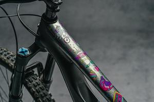 Dyedbro Mtb Frame Protection - Unicorn Glitter