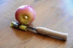 Apple Corer