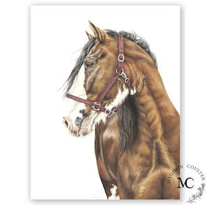 Madison Coulter Art - Clydesdale A4 Print