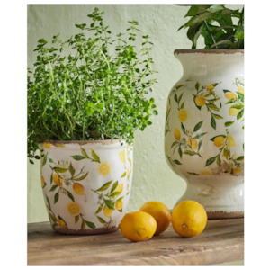 French Country Collections Botanical Lemon Pot Large