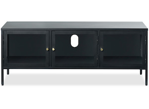 Carmel TV Unit